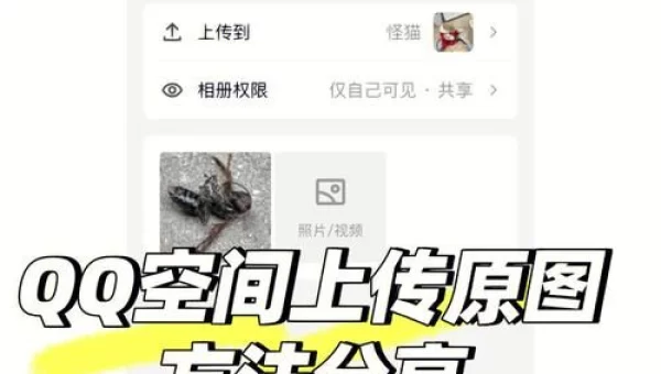 上传空间