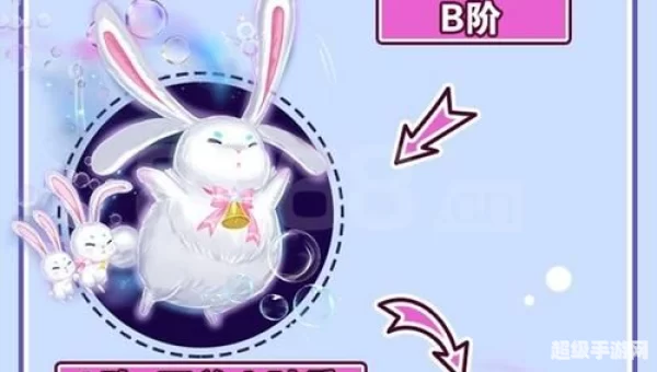 炫舞宠物怎么升级快