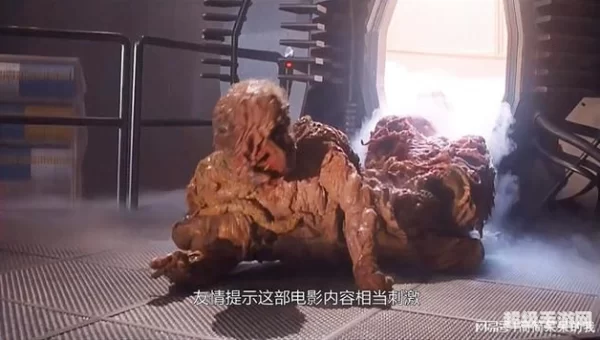 苍蝇人