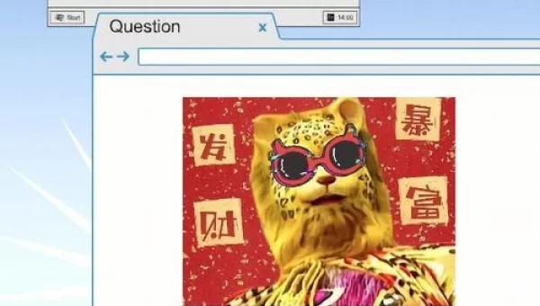 金钱豹攻略