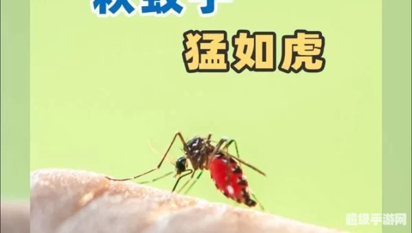 蚊子在秋天战斗力更强
