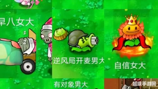 植物大战僵尸王国版