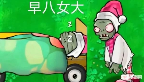 植物大战僵尸王国版