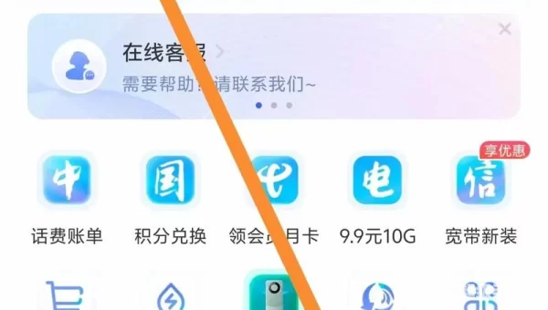 电信网费查询