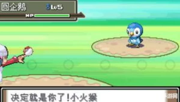 口袋妖怪白金满月岛