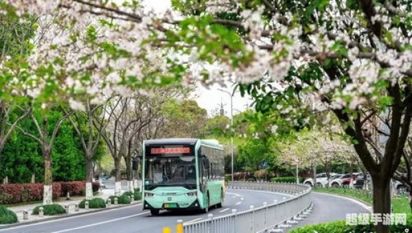 宁波公交地图