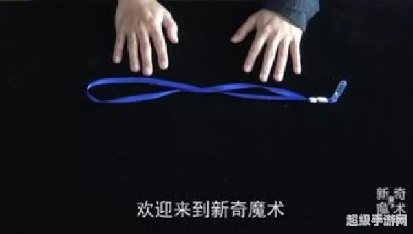 魔术手