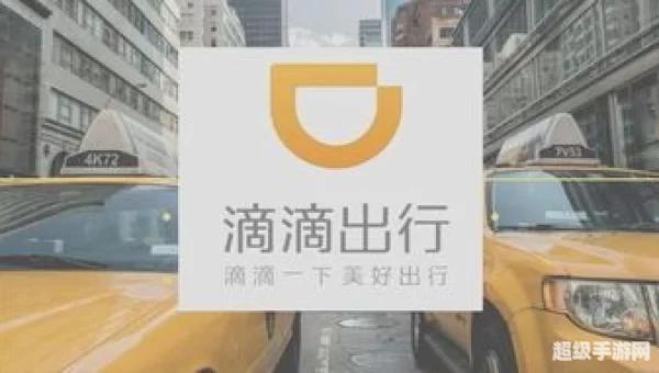 滴滴车主